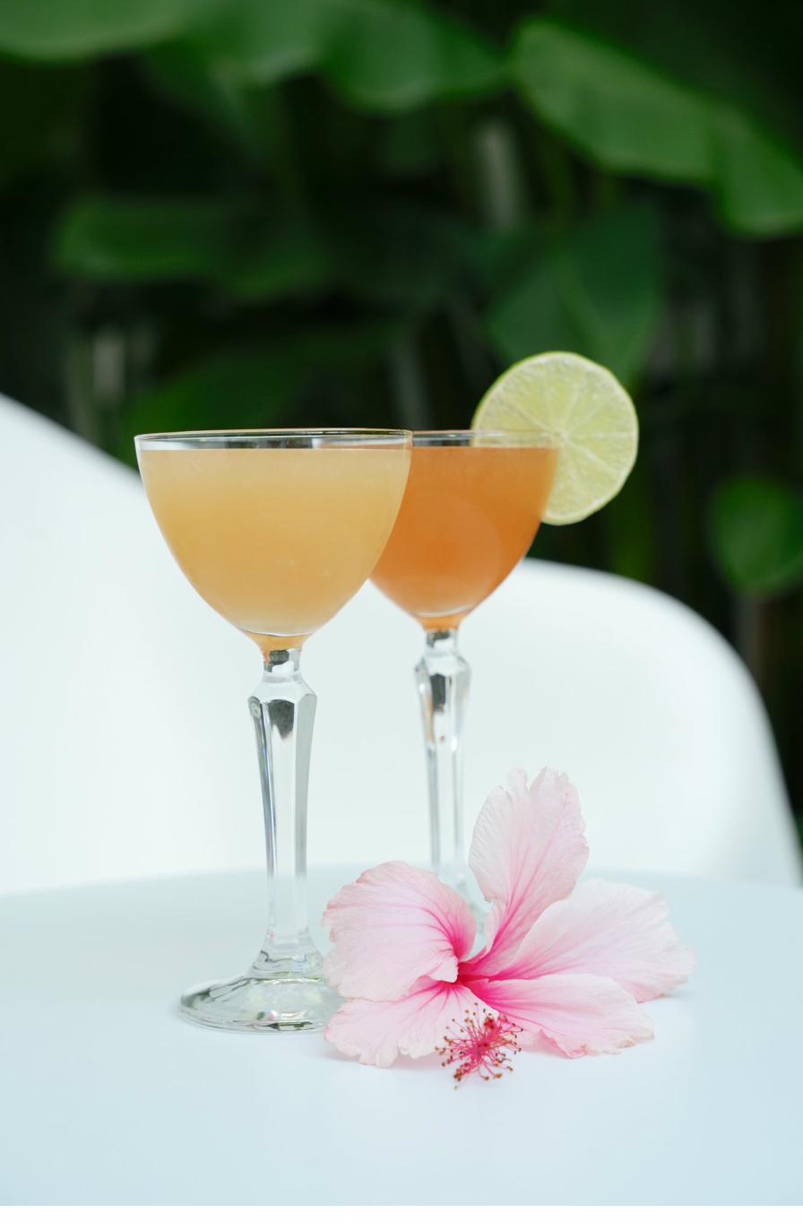 Welcome cocktails at Villa Nobby